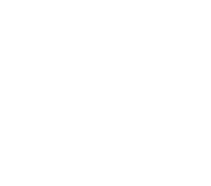 logo white raddison